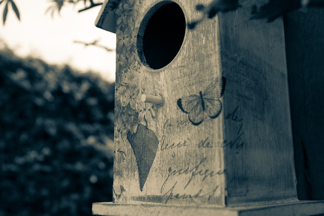 Quirky DIY Birdhouse Ideas for Your Yard Decor